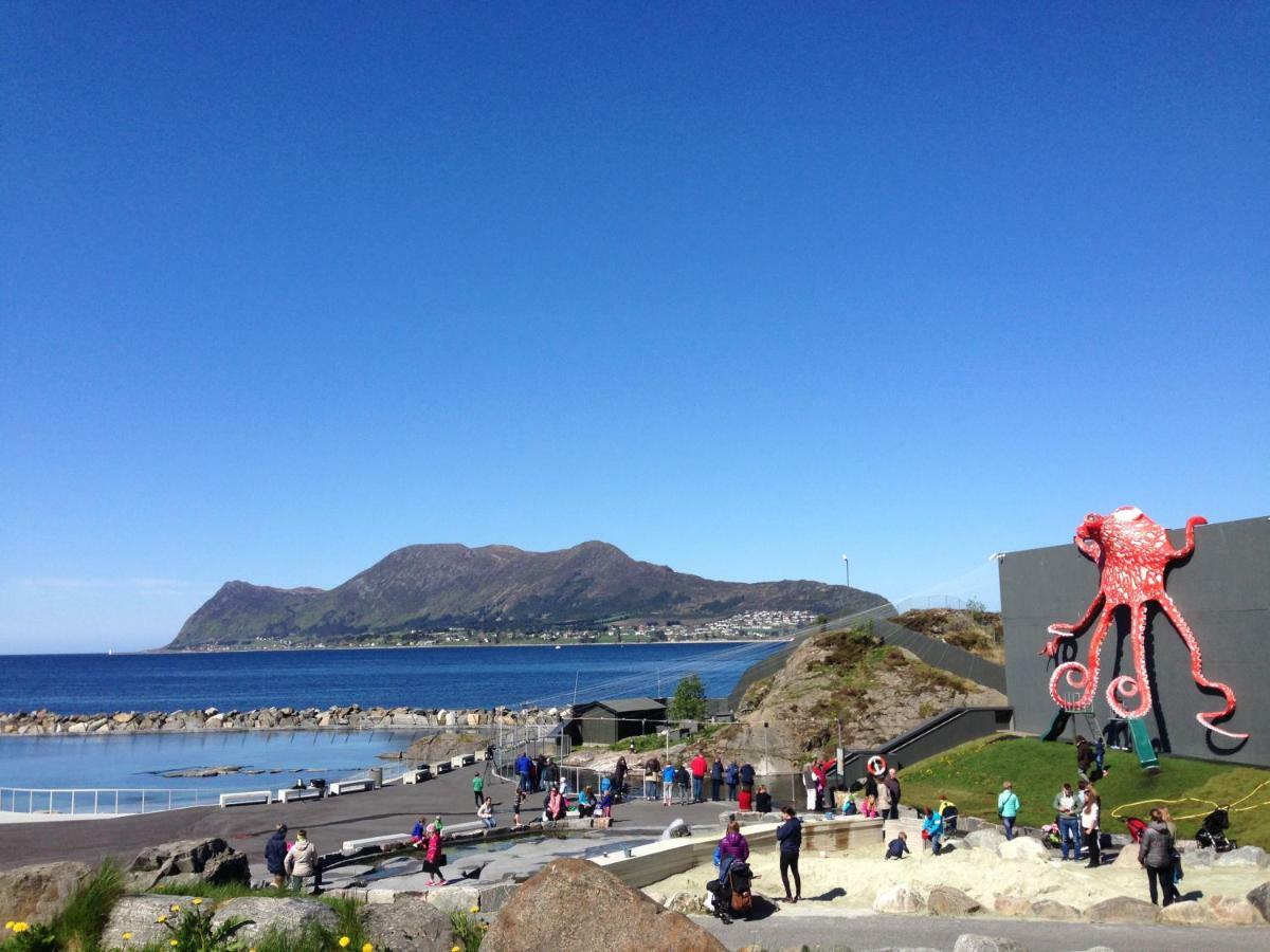 Four Monkeys Hotel Alesund Exterior photo